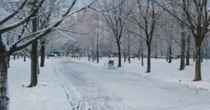 Thrilling Terrain Parks